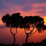 Sea View Di Amedeo 4* Sirolo