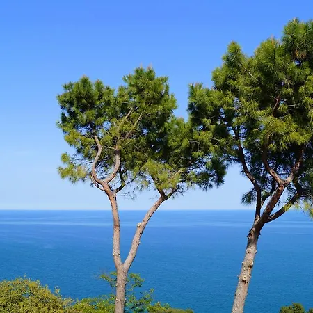 Oda ve Kahvaltı Sea View Di Amedeo